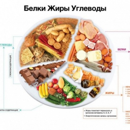 Суточная норма белков, жиров, углеводов. Калорийность.